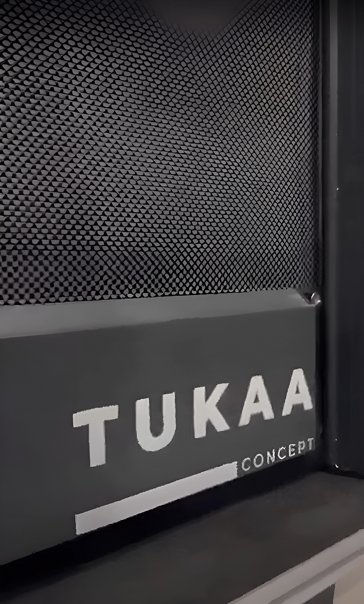 snapedit_1709020978639